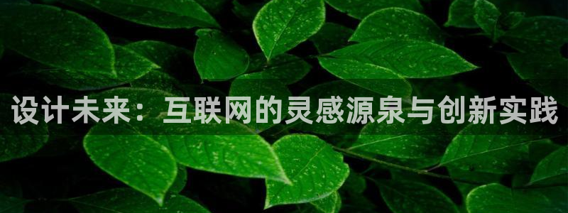 天狮娱乐湫33 300