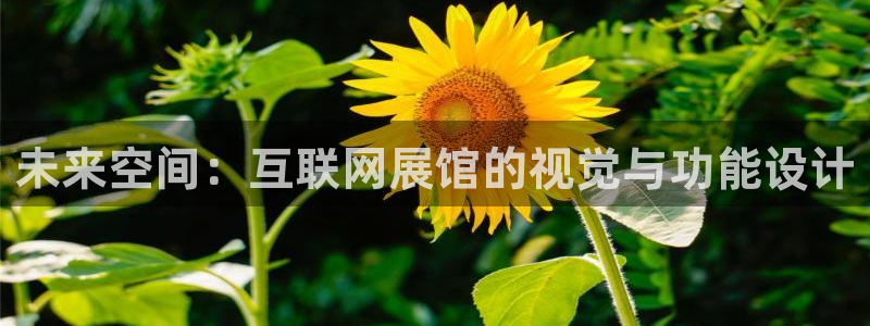 天狮学院娱乐设施