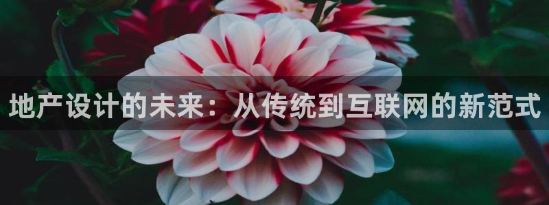 天狮娱乐 c主管57661
