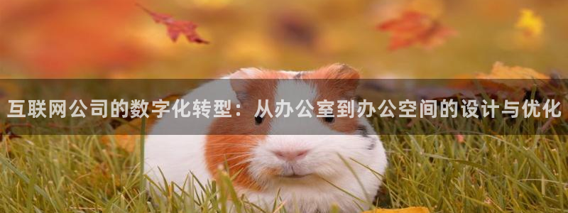 天狮娱乐股东39869