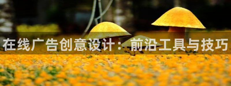 天狮娱乐网