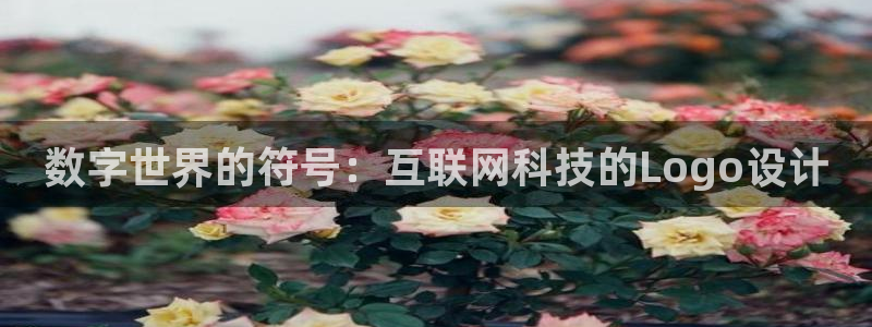 天狮娱乐 卧j主管60447