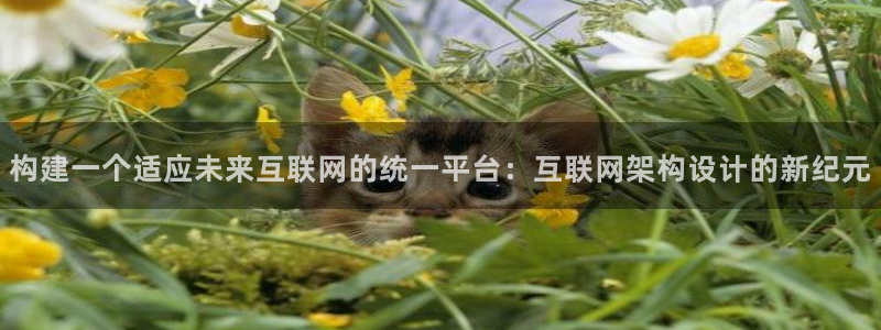 天狮娱乐 官方网站