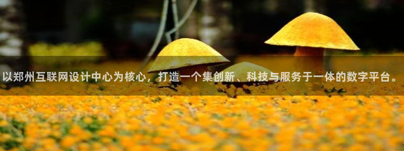 天狮娱乐代理制度