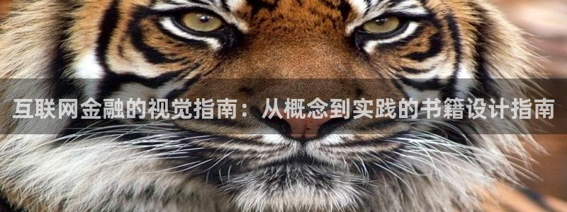 天狮娱乐专线