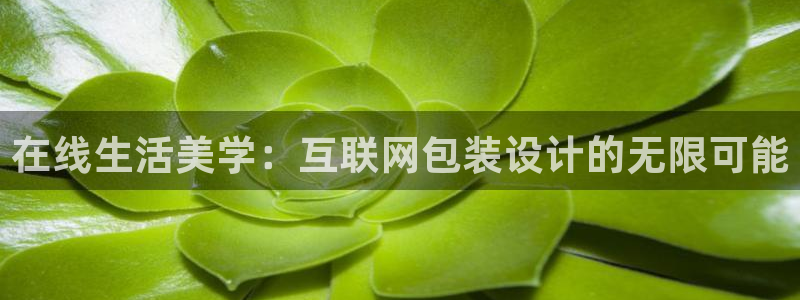 天狮娱乐 a招商60447