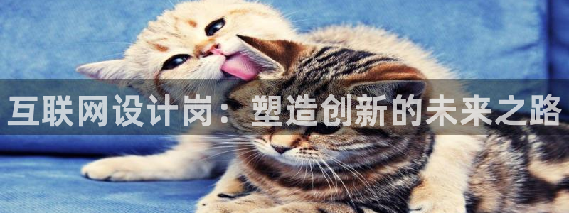 鸿图娱乐下载天狮：互联网设计岗