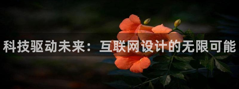 天狮娱乐 82104直招q