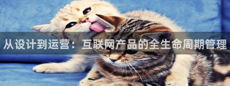 天狮娱乐主管57757