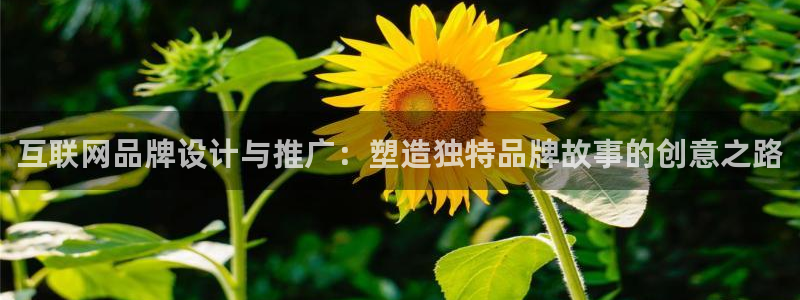 蓝狮娱乐注册天原判官333OO