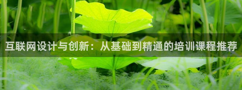 天狮娱乐彩票真假：互联网设计与