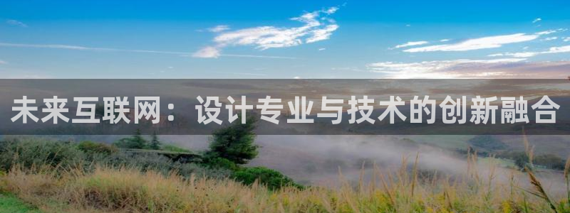 天狮娱乐如：未来互联网：设计专