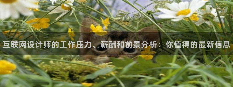 天狮娱乐 官方网站