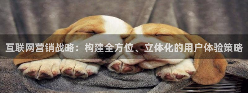 天狮娱乐官方网站