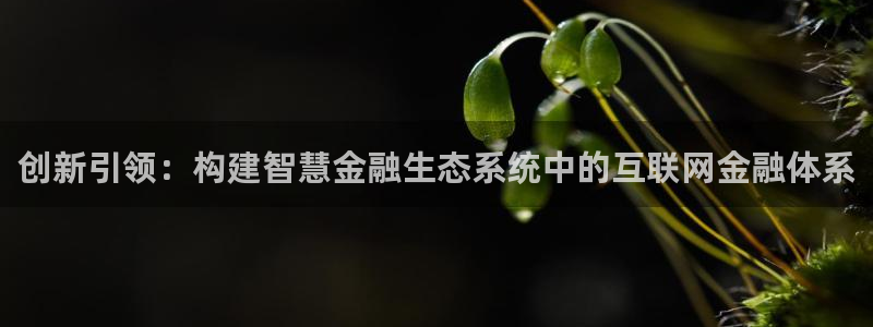 天狮娱乐手机