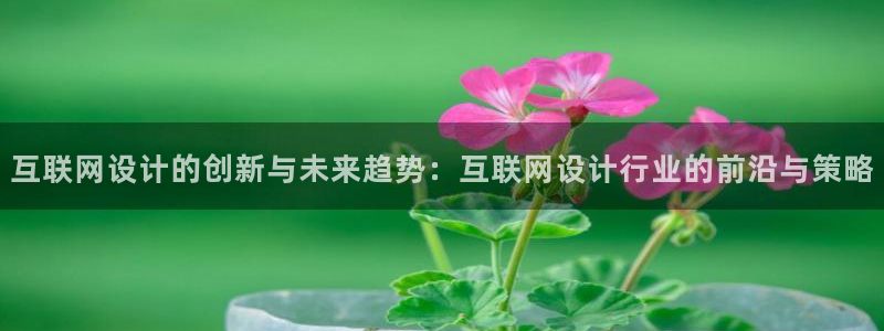 天狮娱乐专线