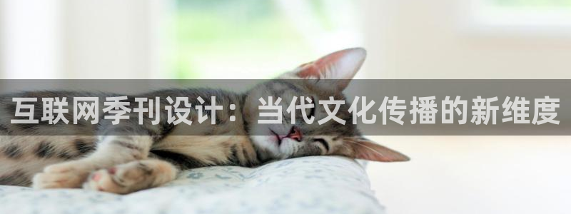 天狮娱乐工资
