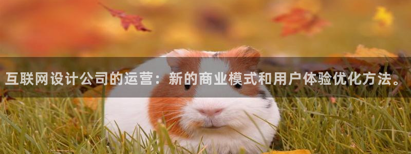 天狮娱乐玩法