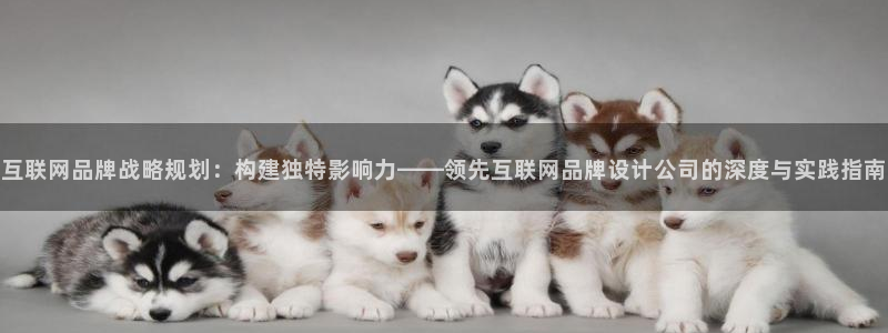 天狮娱乐股东主管：互联网品牌战