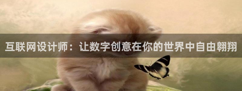 天狮娱乐注册登录：互联网设计师