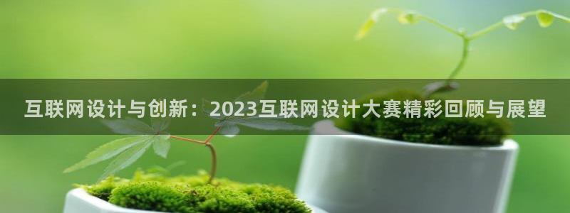 天狮娱乐道：互联网设计与创新：