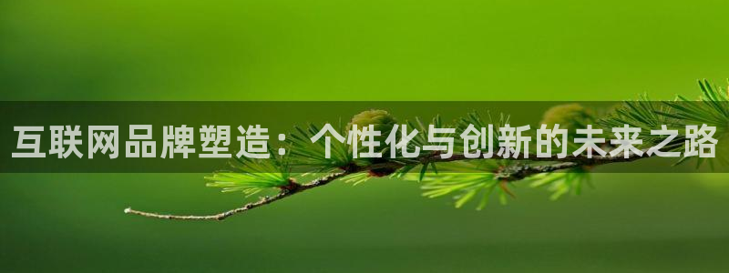 天狮娱乐招商87277