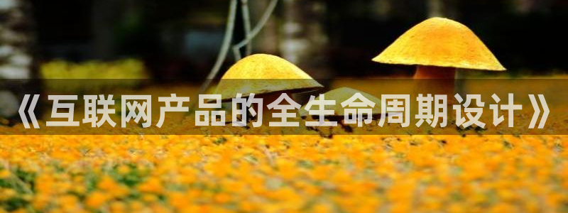 天狮娱乐股东Q 882092