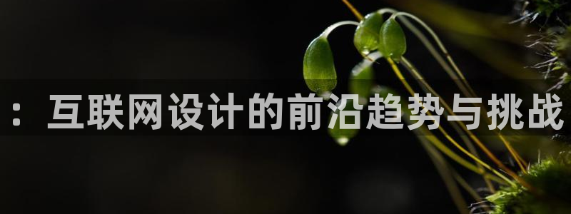 天狮娱乐湫33 300